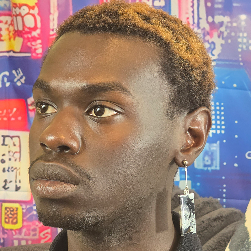 Sunfire Hanafuda Anime Earrings